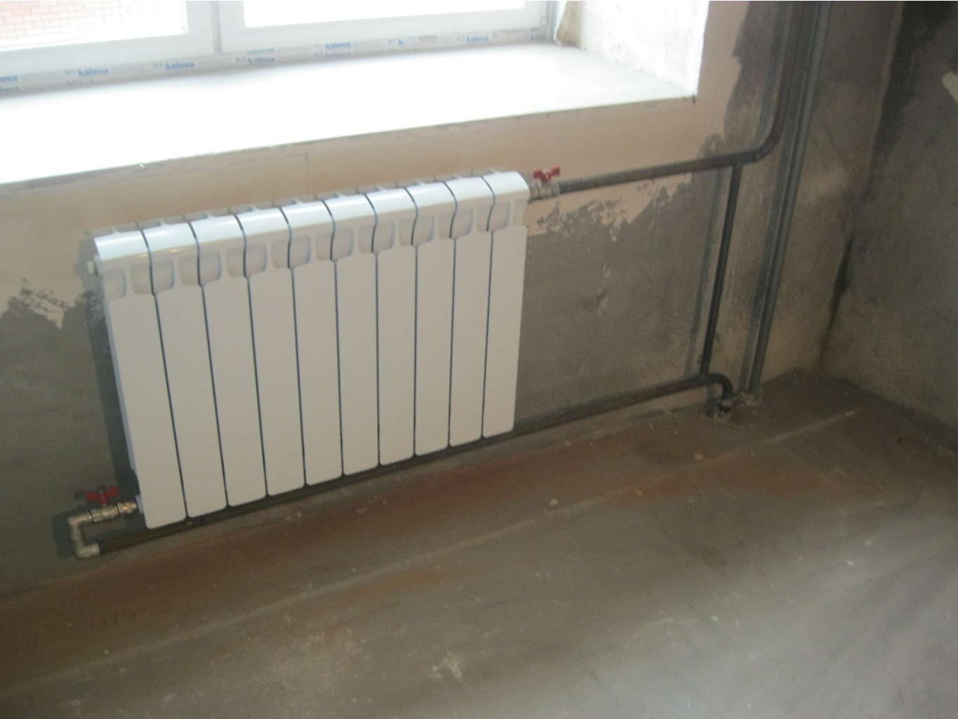 IMG 3369.JPG
