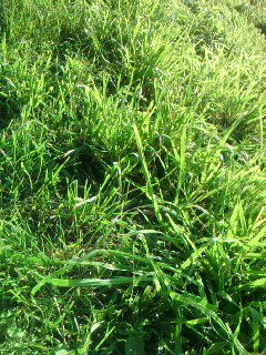 (e)SP A0148.jpg