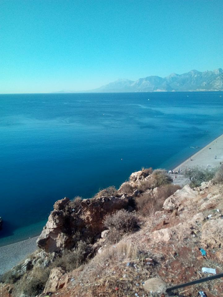 14572129 10211362979209046 4265031211690043271 n.jpg