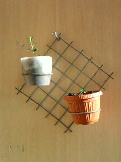 (e)SP A0340.jpg