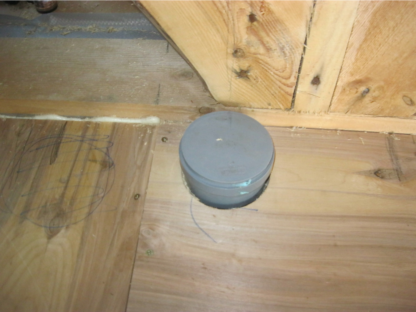 IMG 6248.JPG