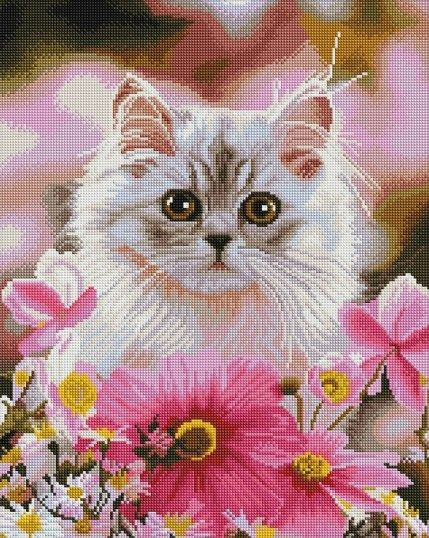 GF 862    40*50 : 1010.00 RUB