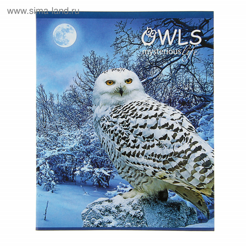  48   Owl life,   , 2 ,  .3413823  15,57  .10.jpg