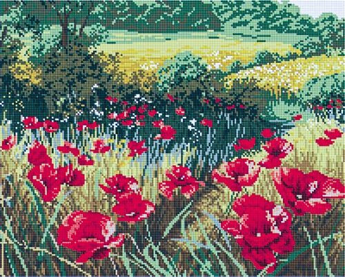   GF 202   40*50 : 760.00 RUB