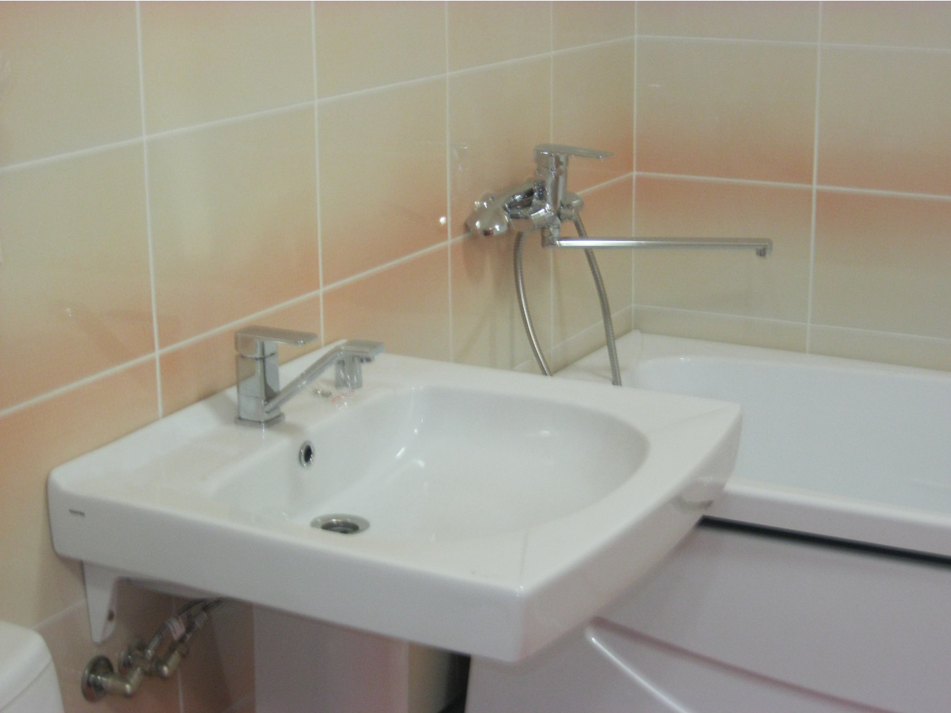 IMG 0381.JPG