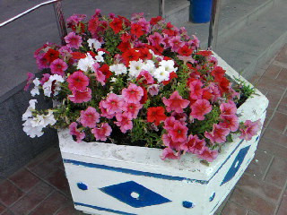 SP A0218.jpg