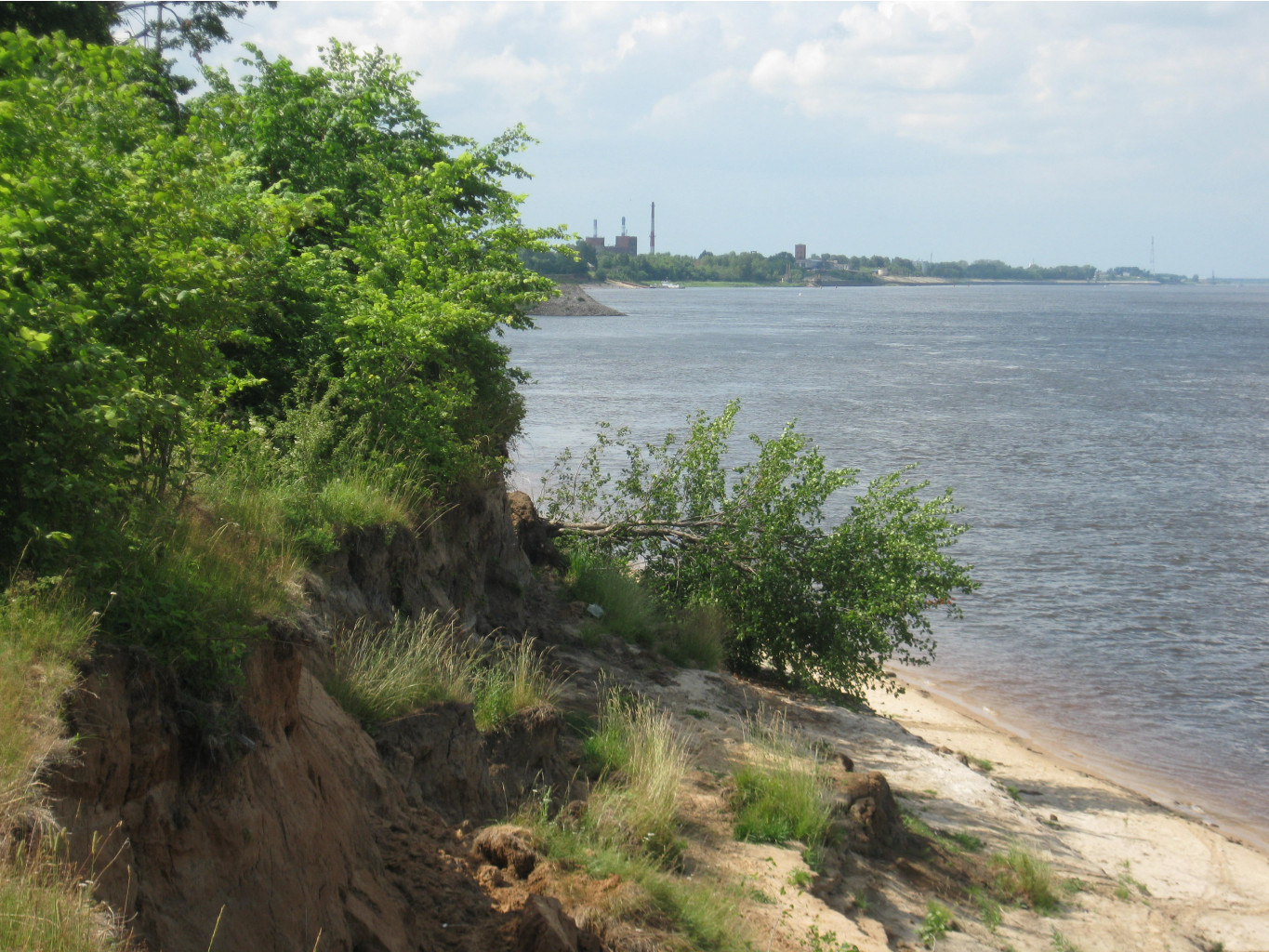 IMG 7107.JPG