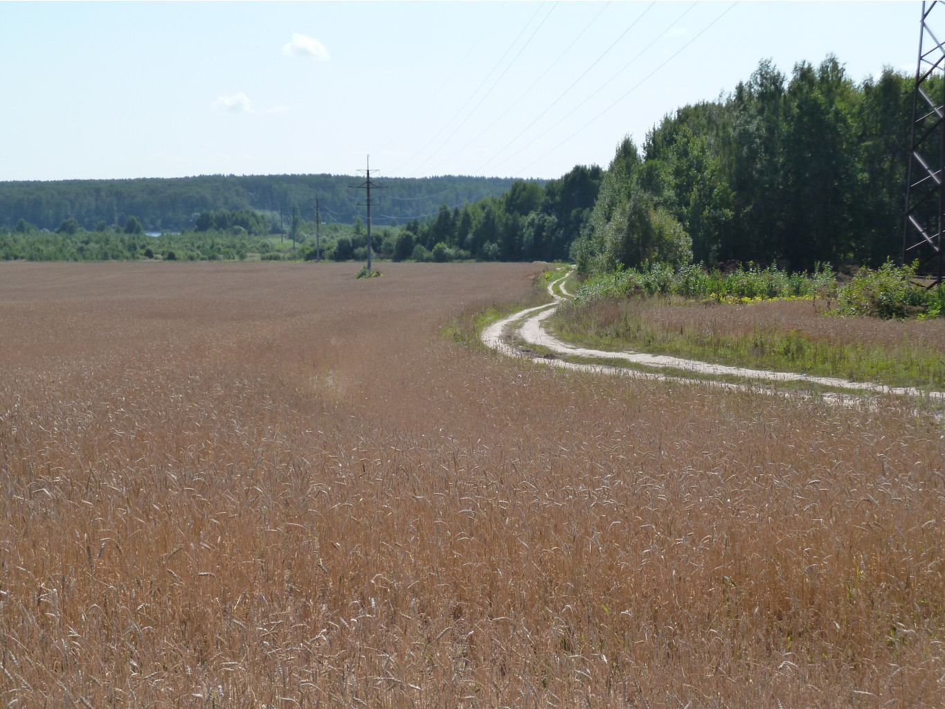 P1010723.JPG