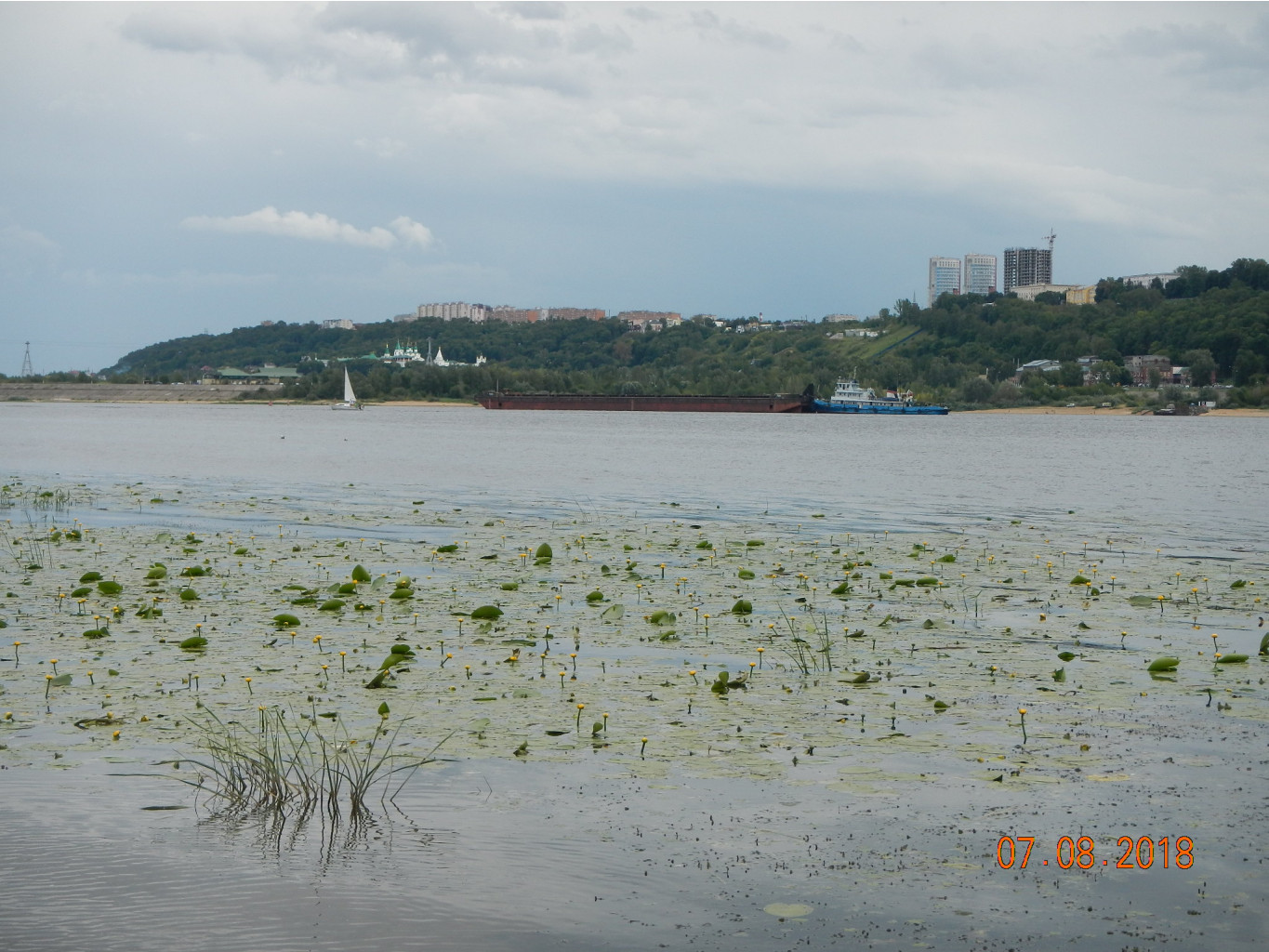 DSCN4968.JPG