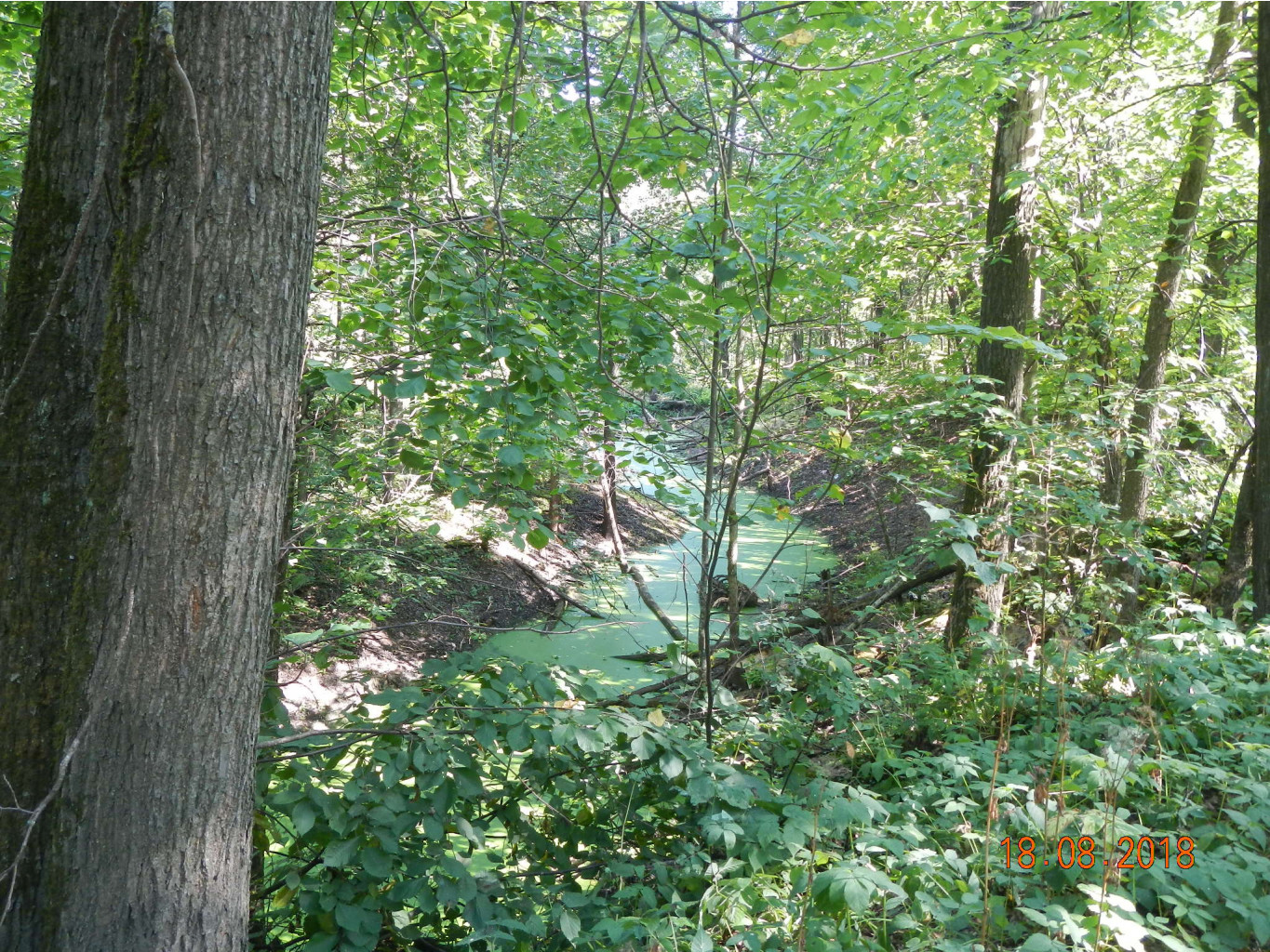 DSCN5319.JPG