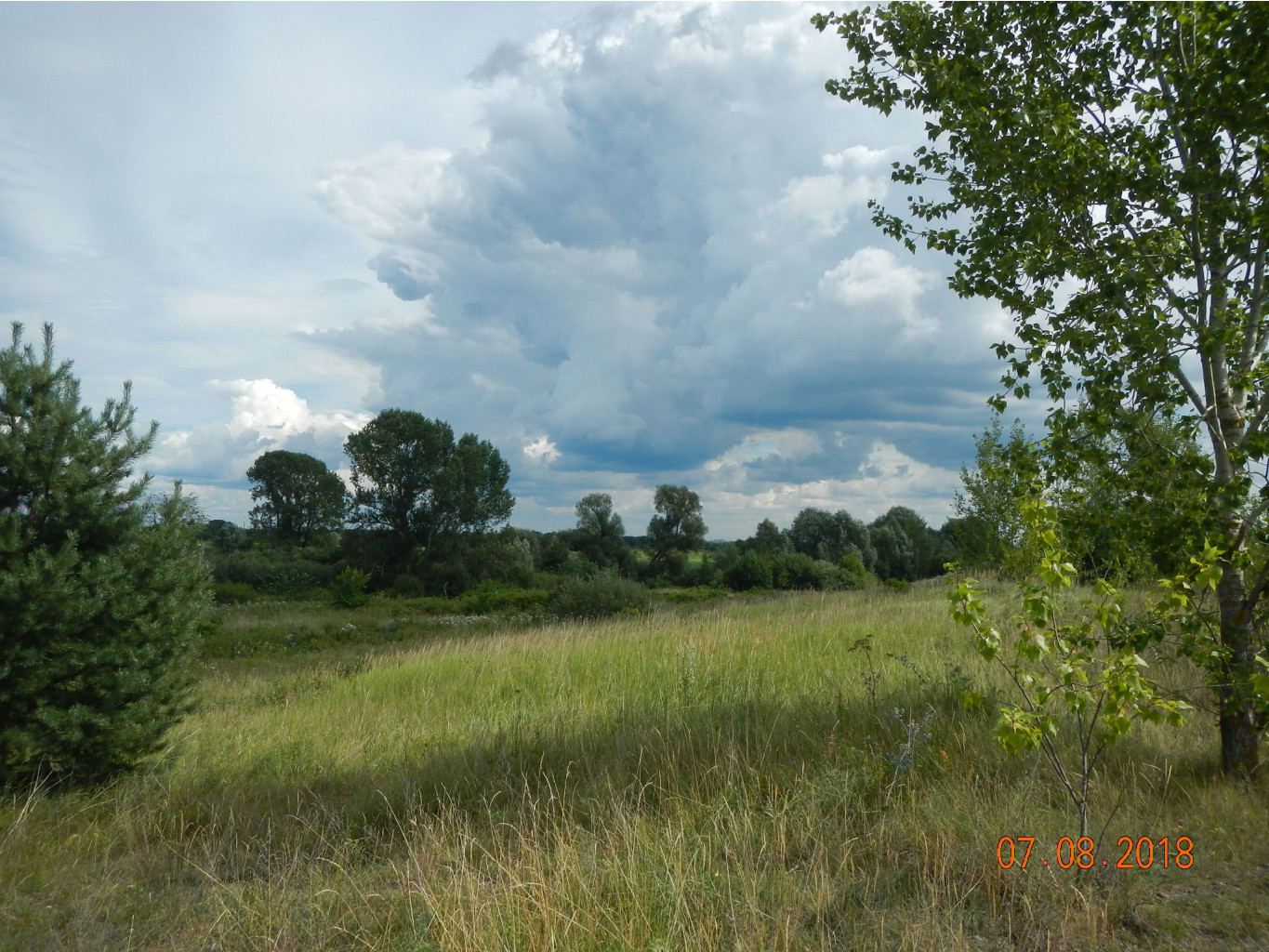 DSCN4909.JPG