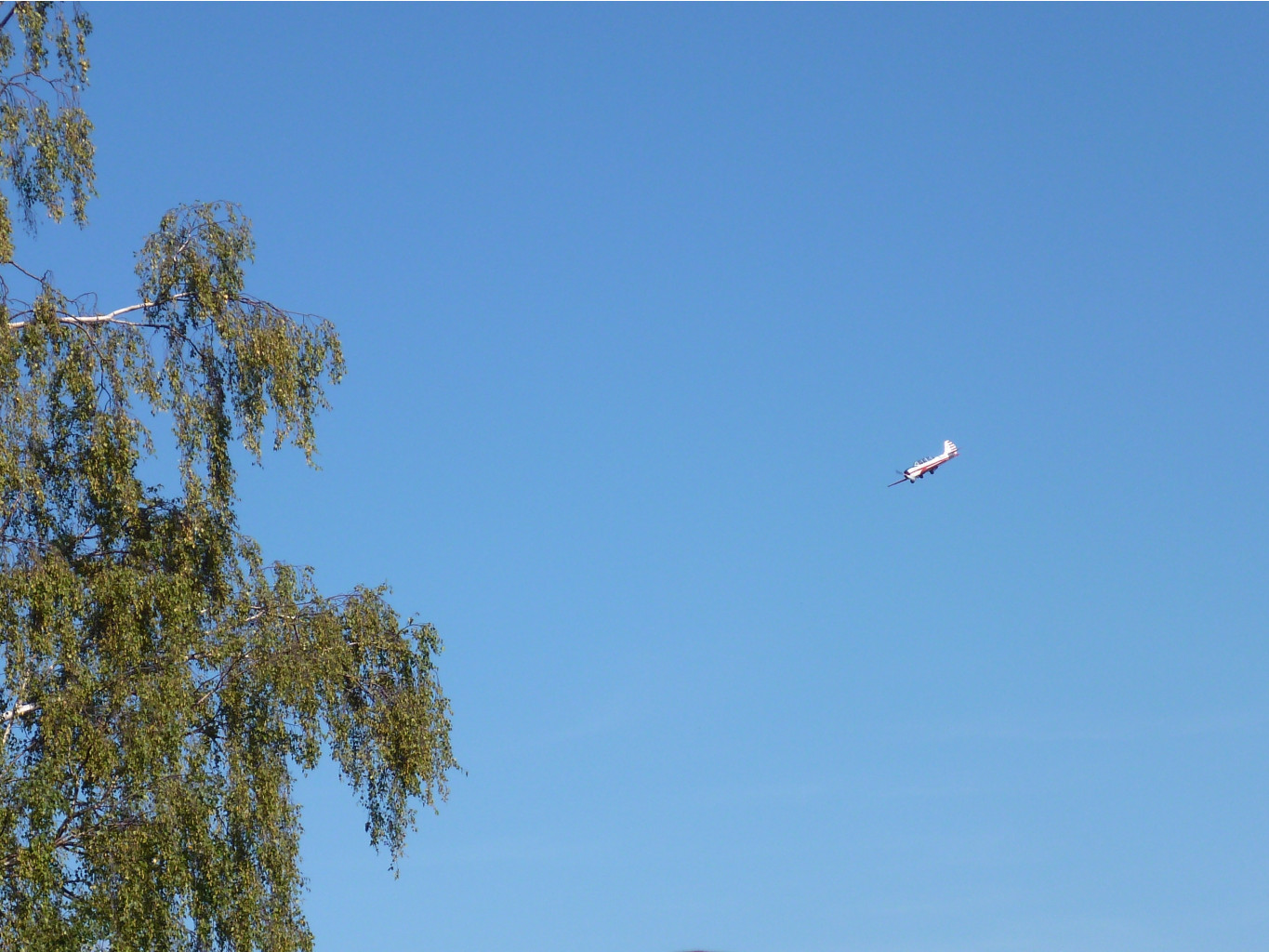 P1010749.JPG