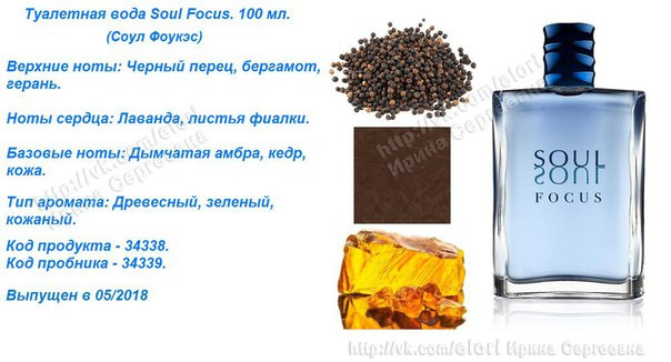 Туалетная вода Соул Фоукэс 100мл 34338