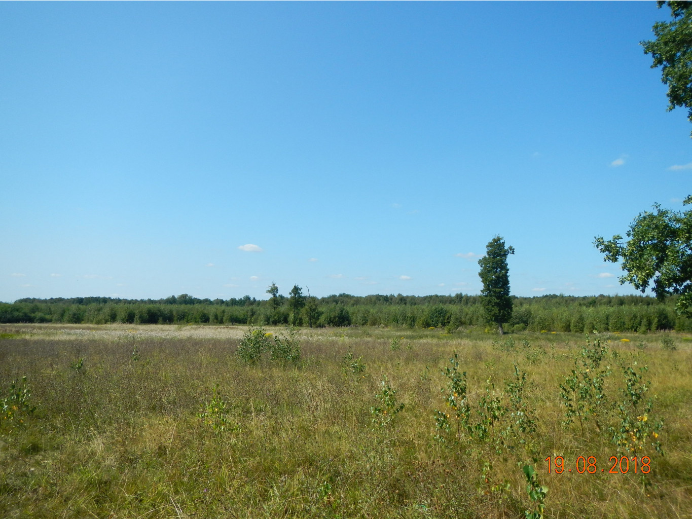 DSCN5378.JPG