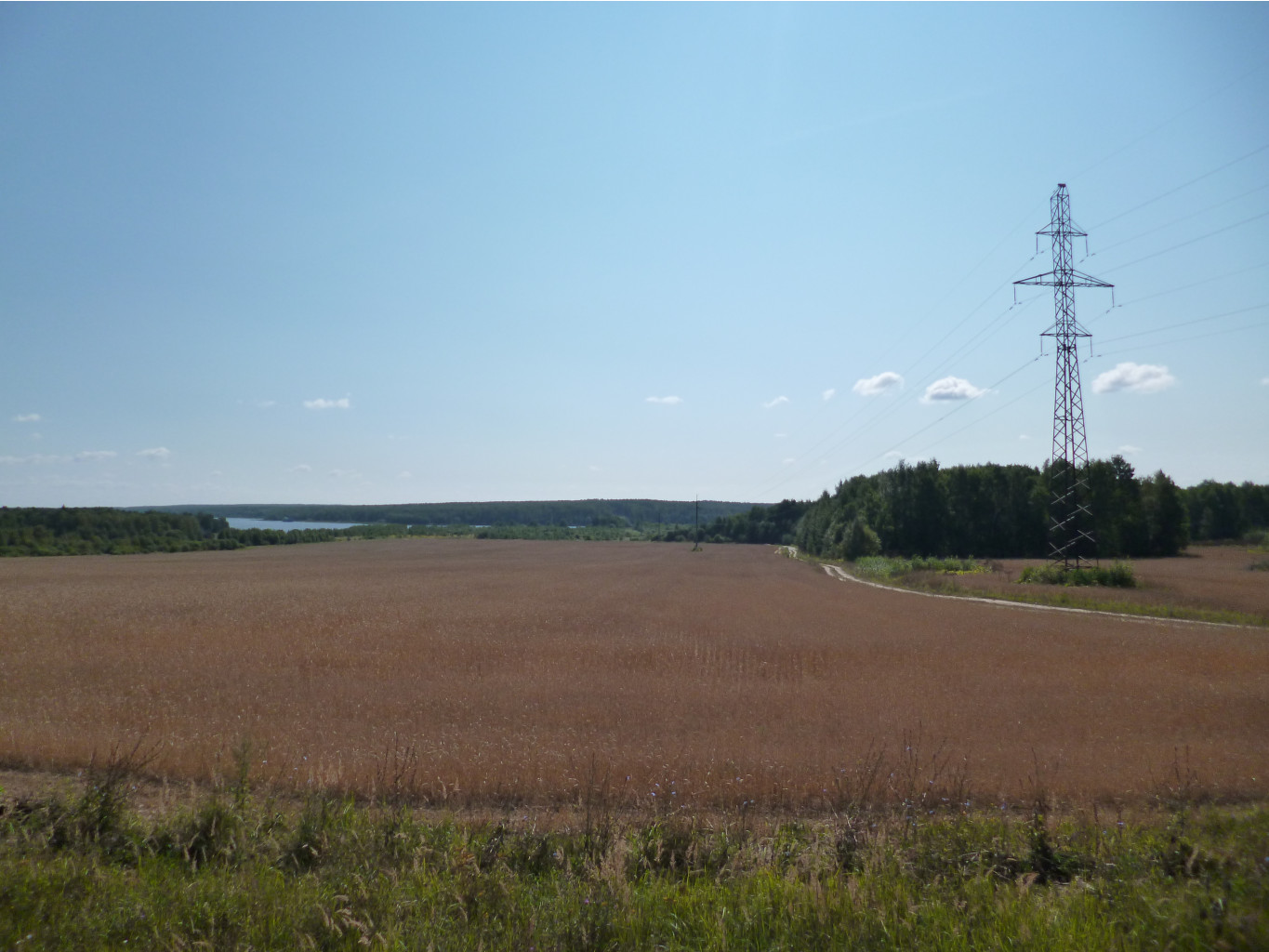 P1010719.JPG