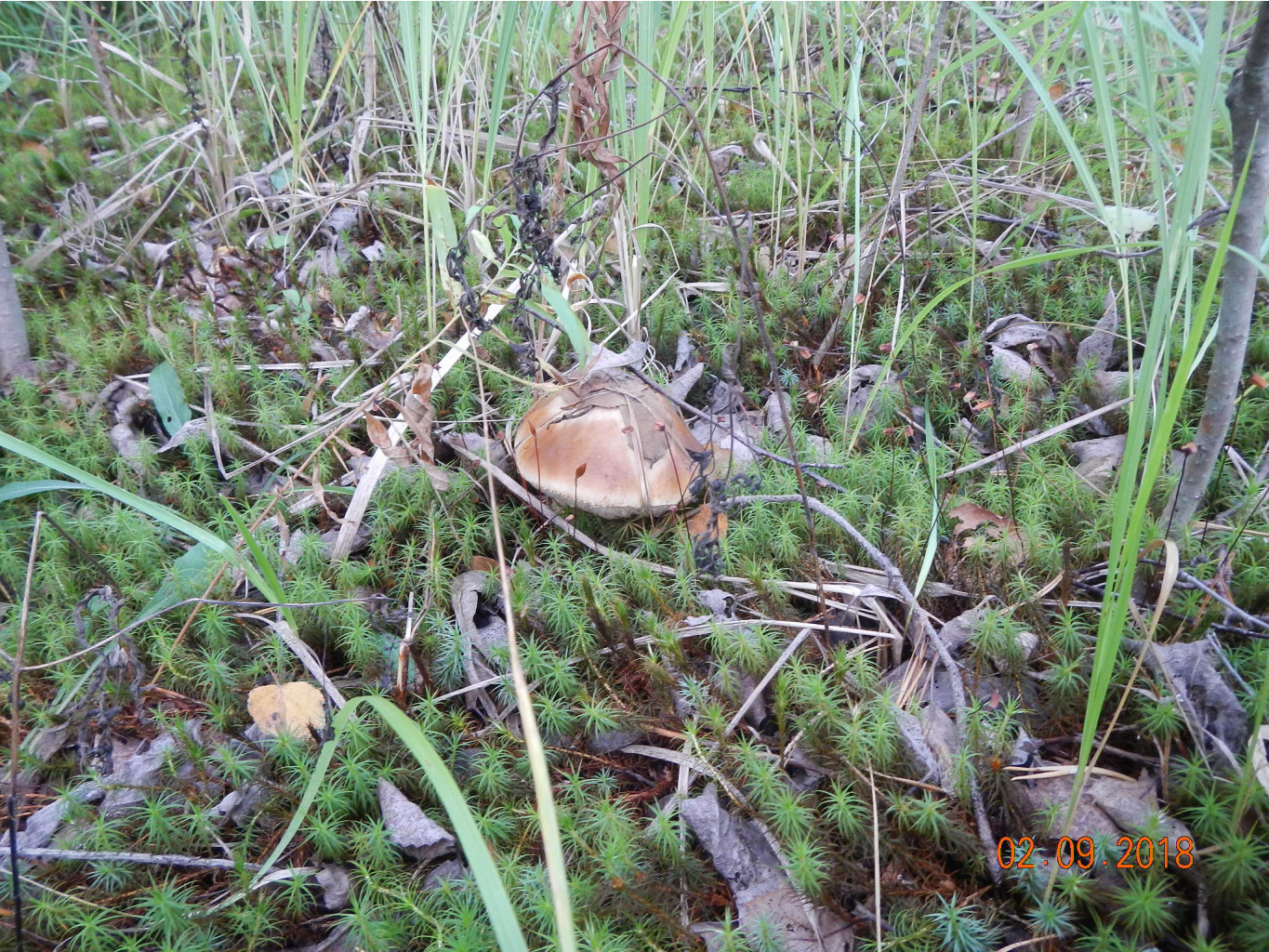 DSCN5570.JPG