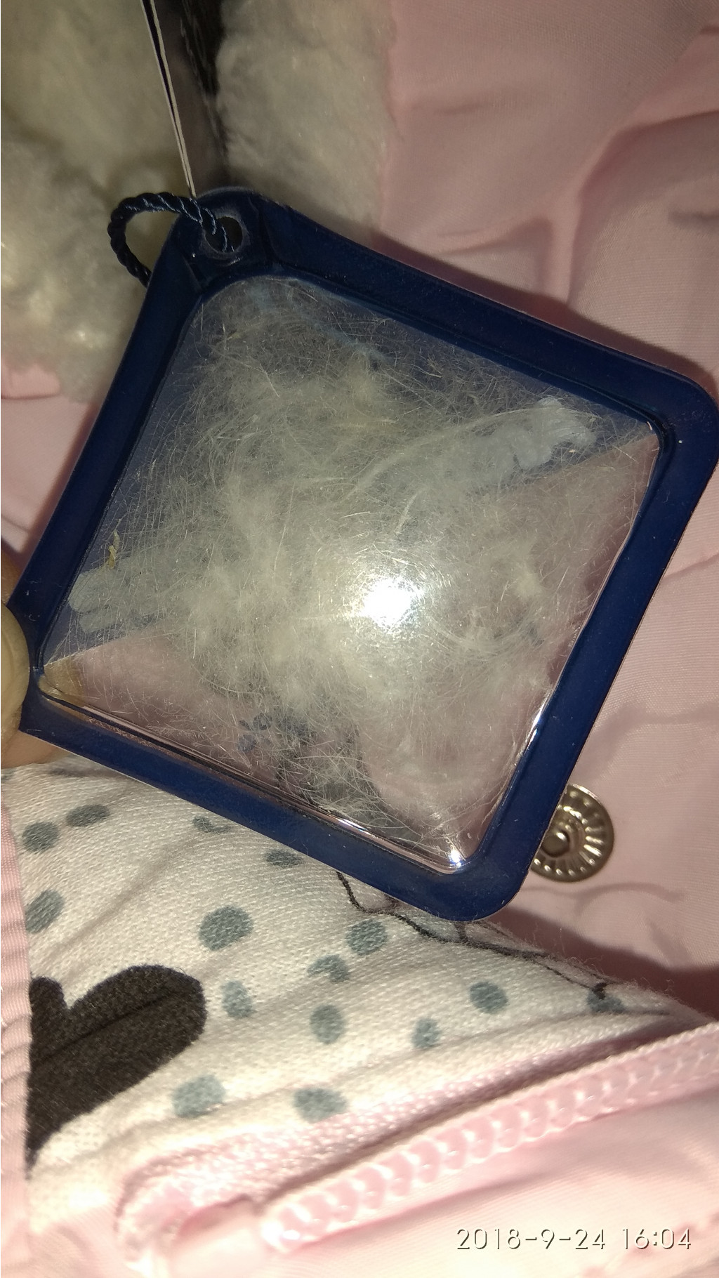 IMG 20180924 160444.jpg