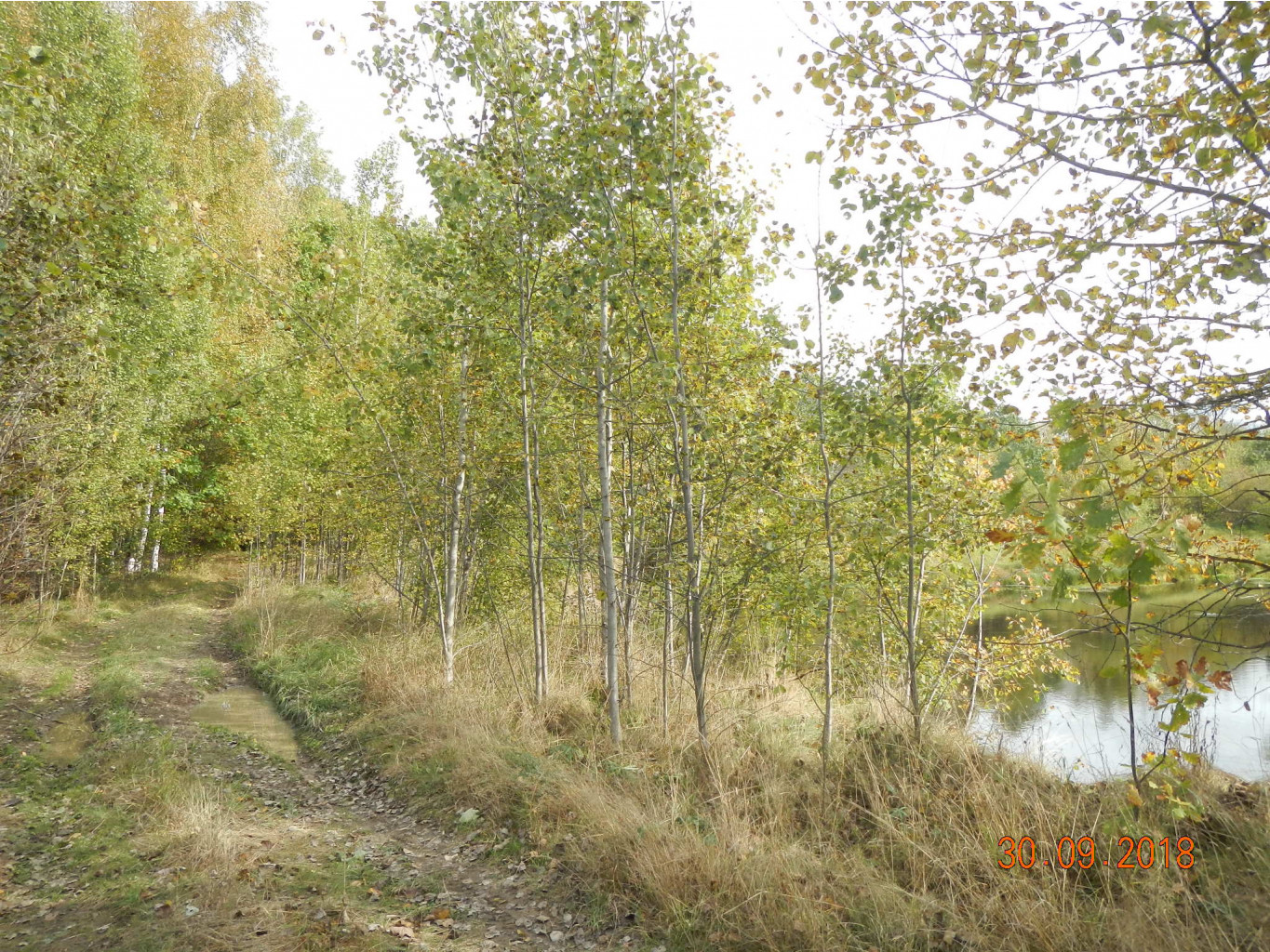 DSCN6118.JPG