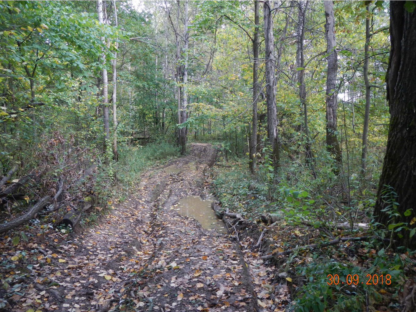DSCN6123.JPG