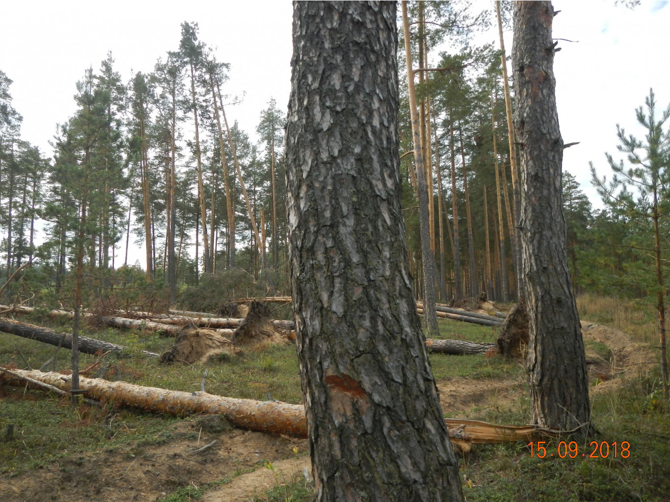 DSCN5737.JPG