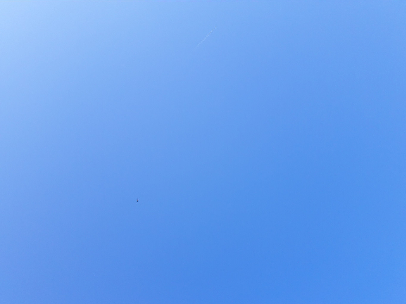 20180805 183222.jpg