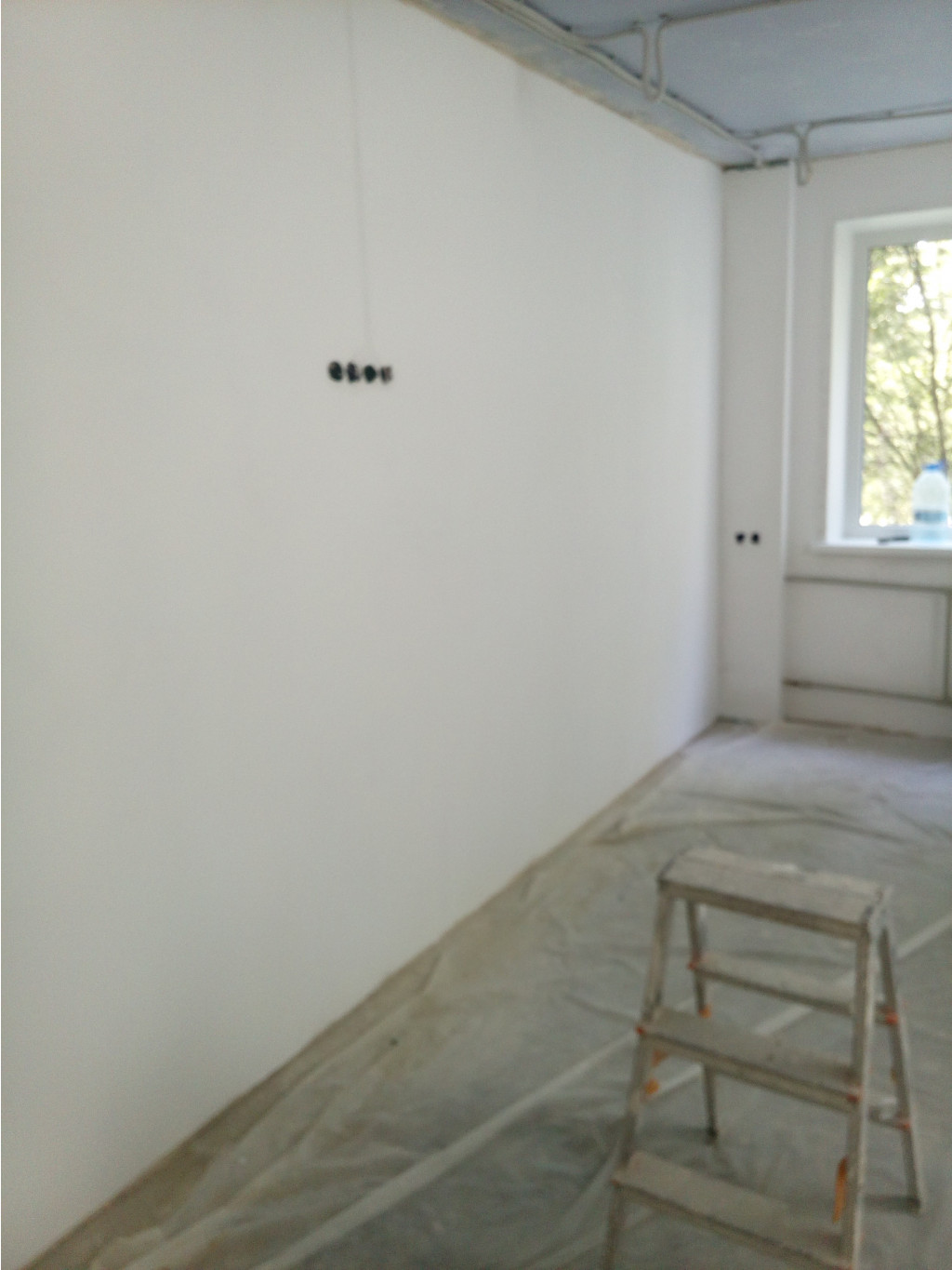 IMG 20180726 100501.jpg