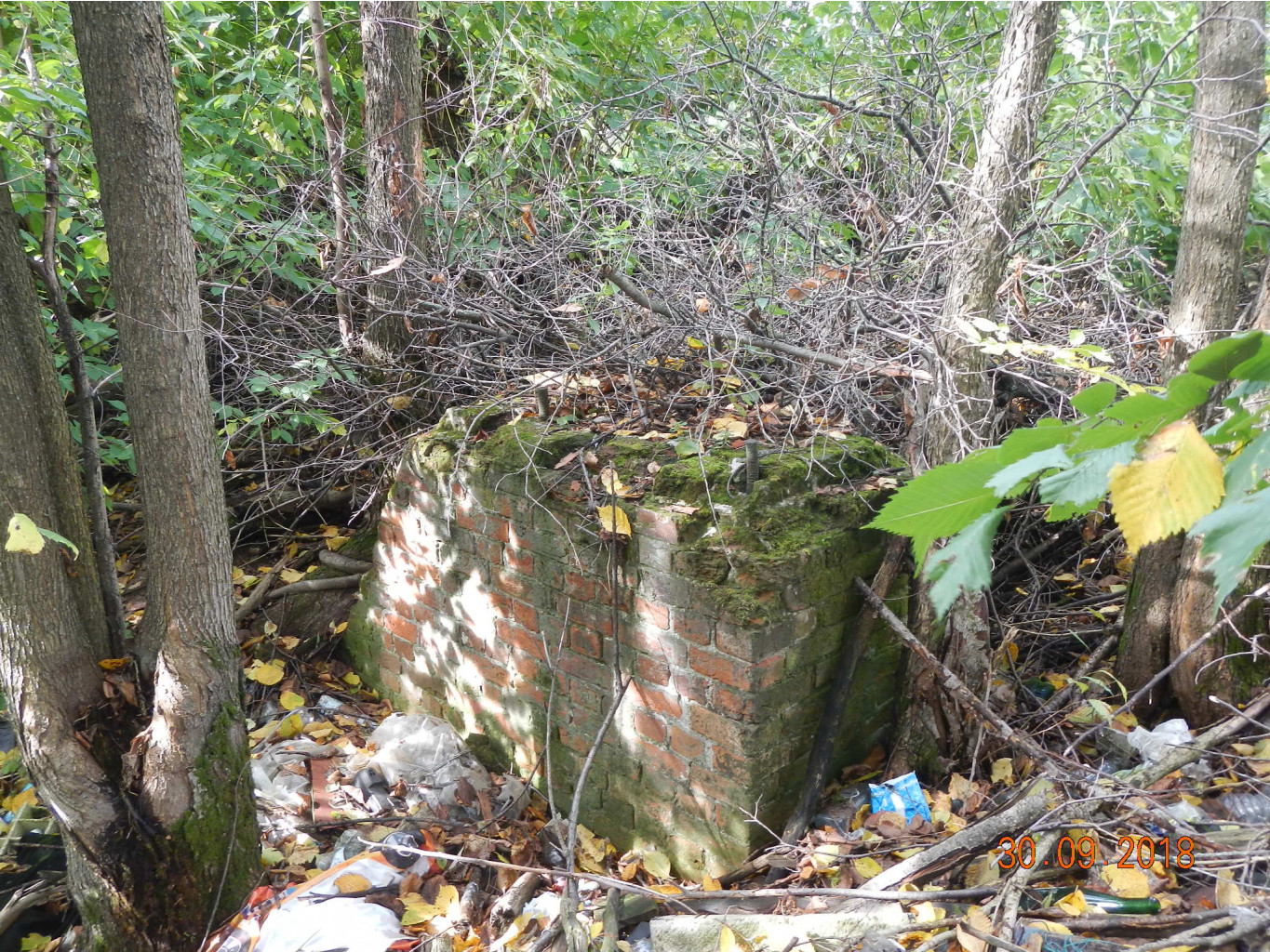 DSCN6104.JPG