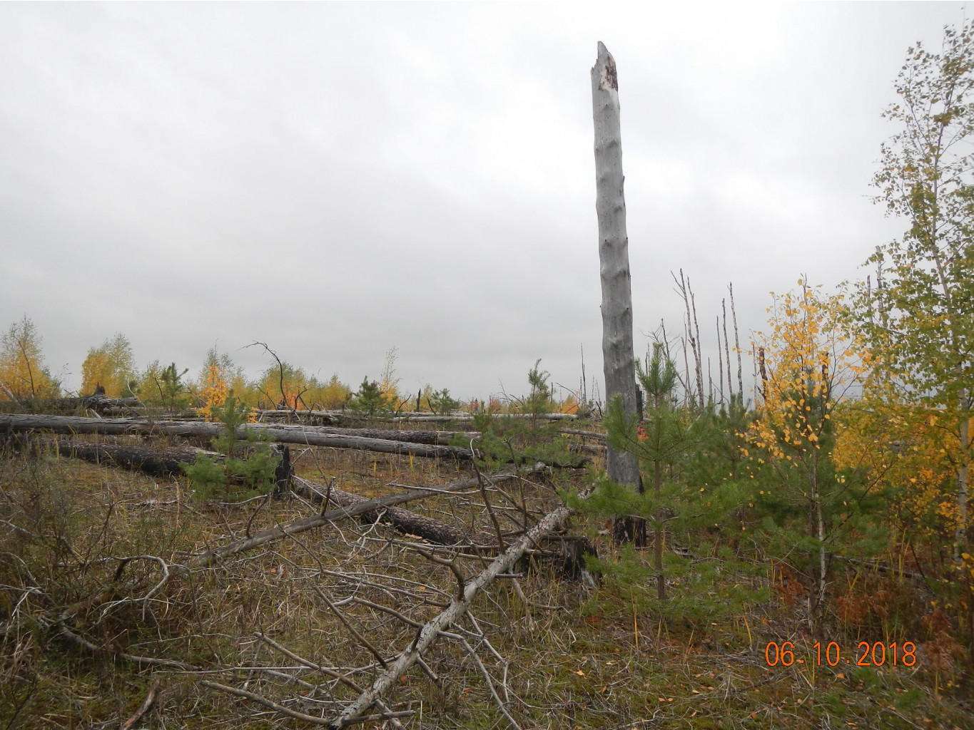 DSCN6269.JPG