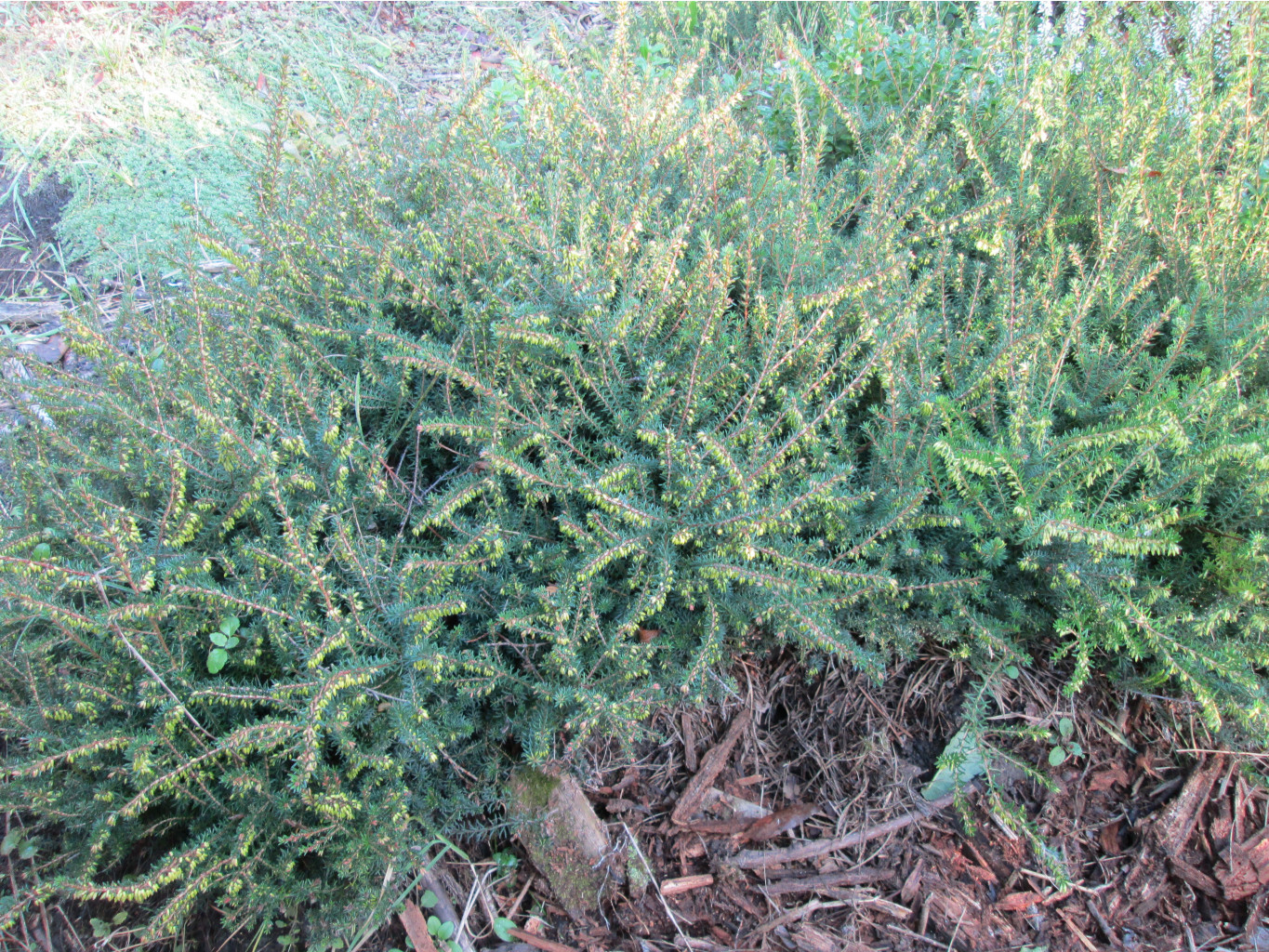 IMG 5545.JPG