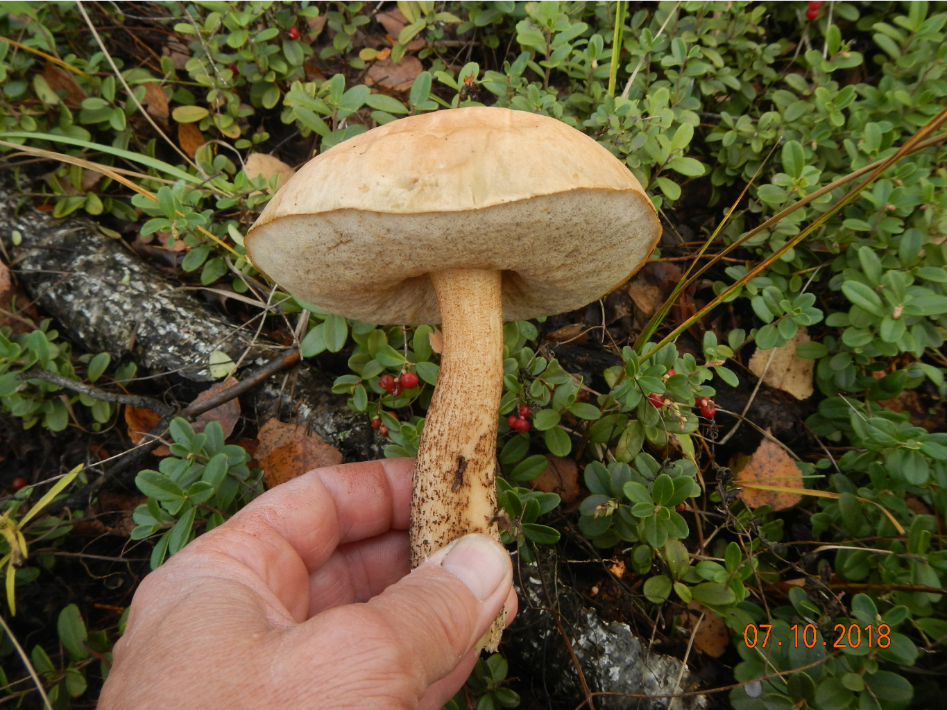 DSCN6340.JPG