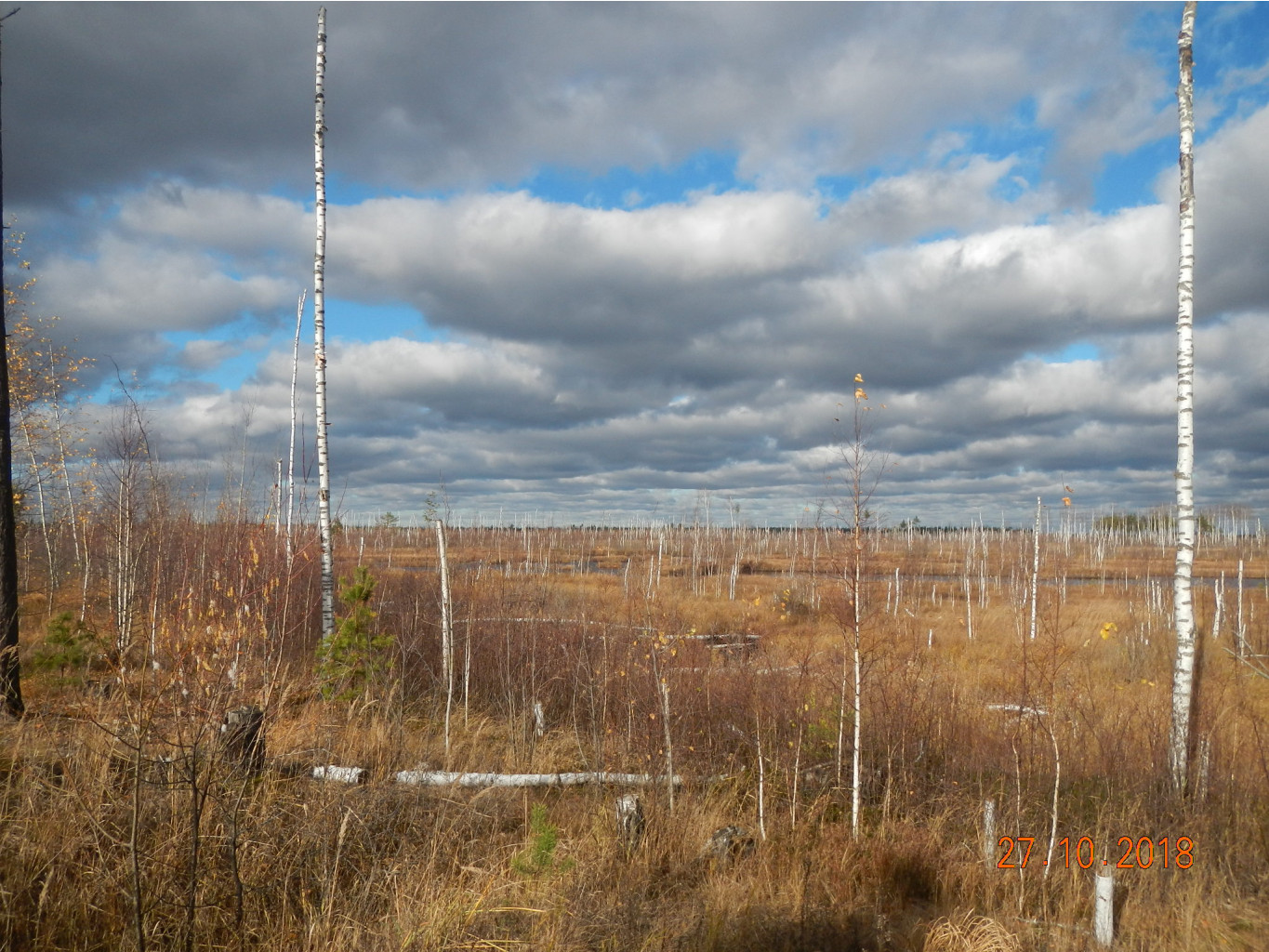 DSCN6728.JPG