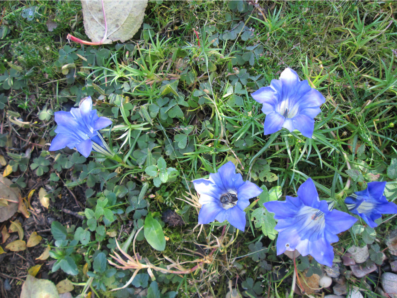IMG 5564.JPG