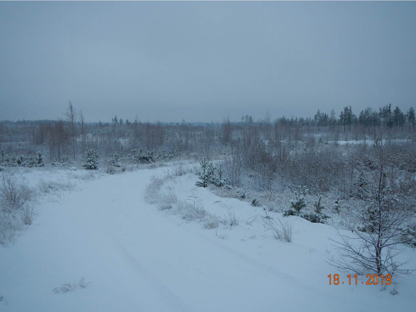 DSCN7543.JPG