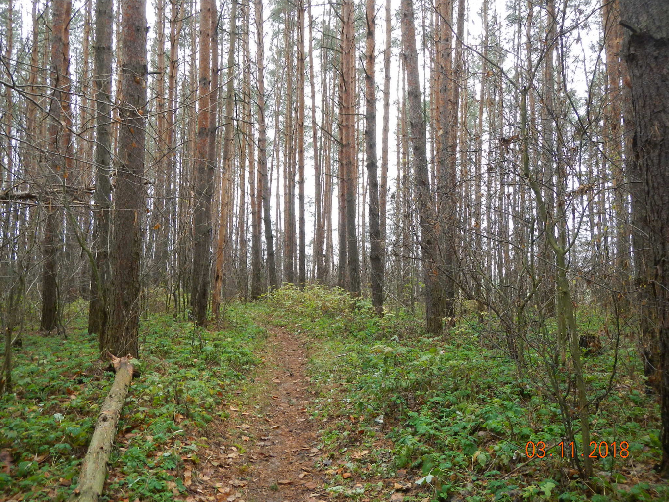 DSCN6954.JPG