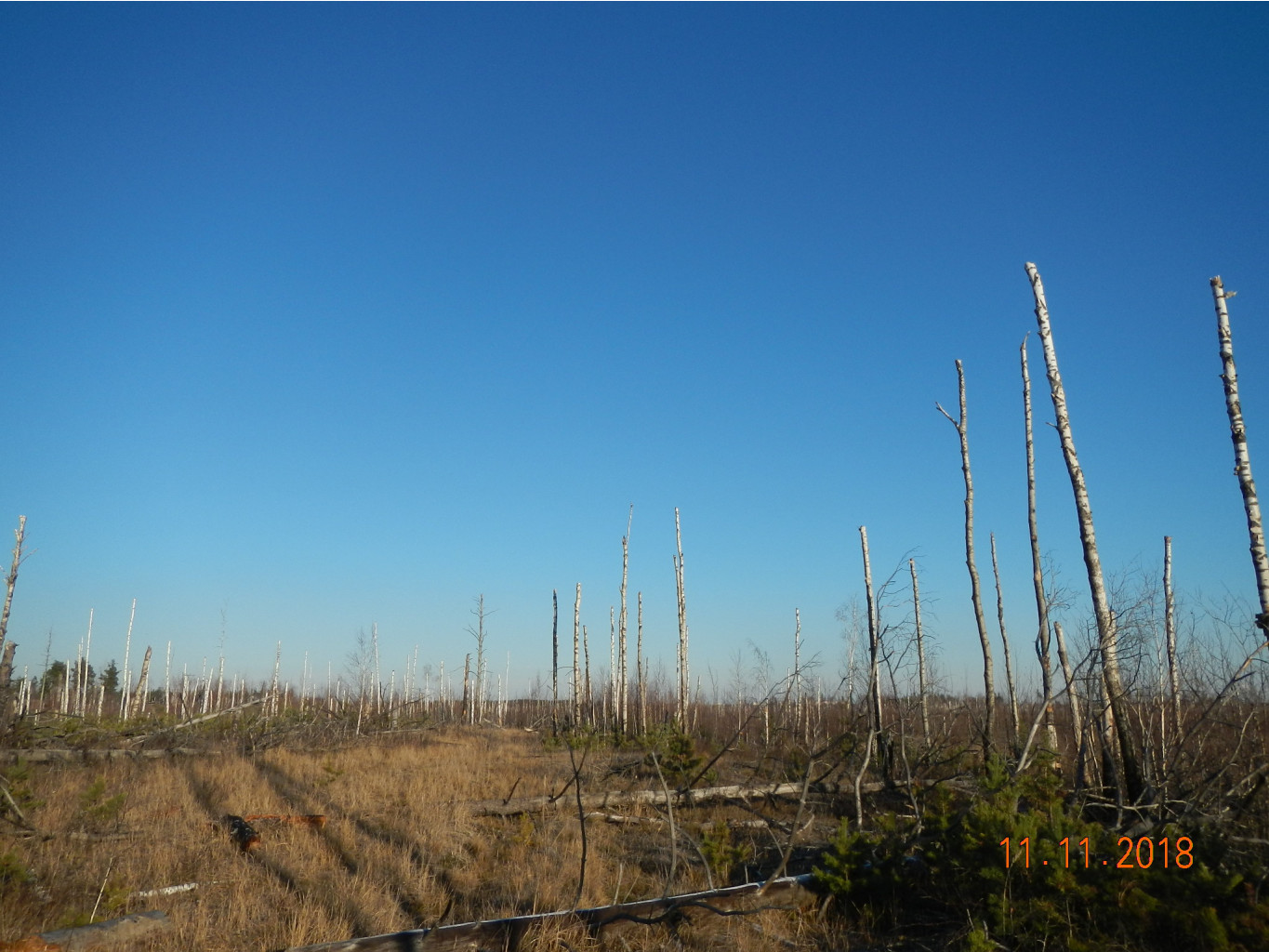 DSCN7334.JPG