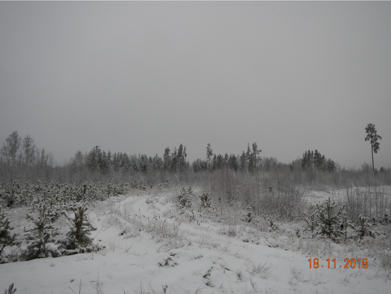 DSCN7547.JPG
