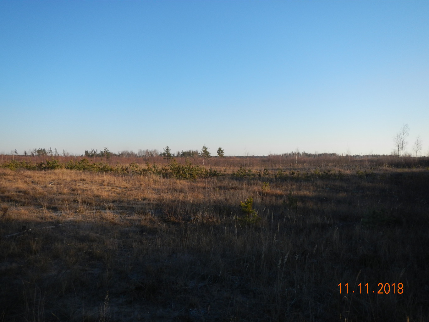 DSCN7362.JPG