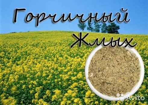 Жмых горчичный