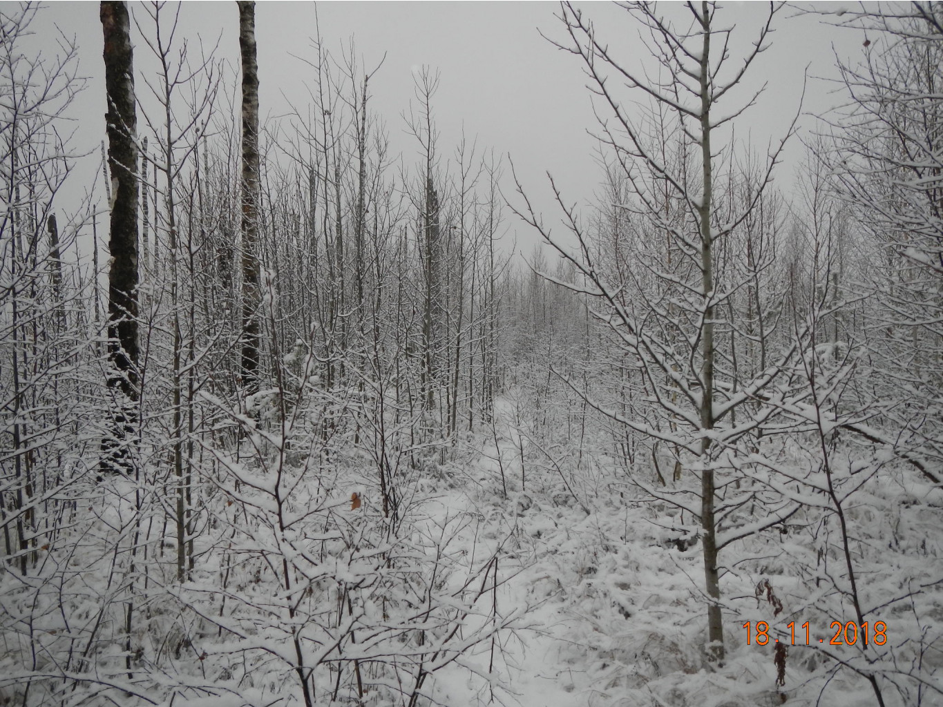 DSCN7570.JPG