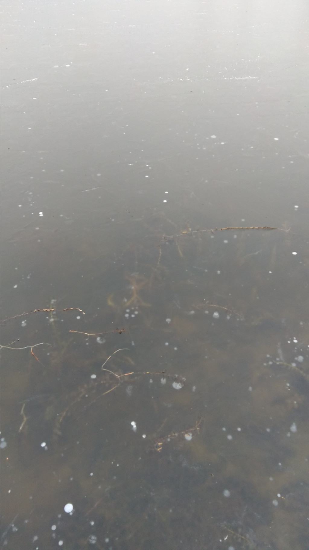 IMG 20181117 135904.jpg