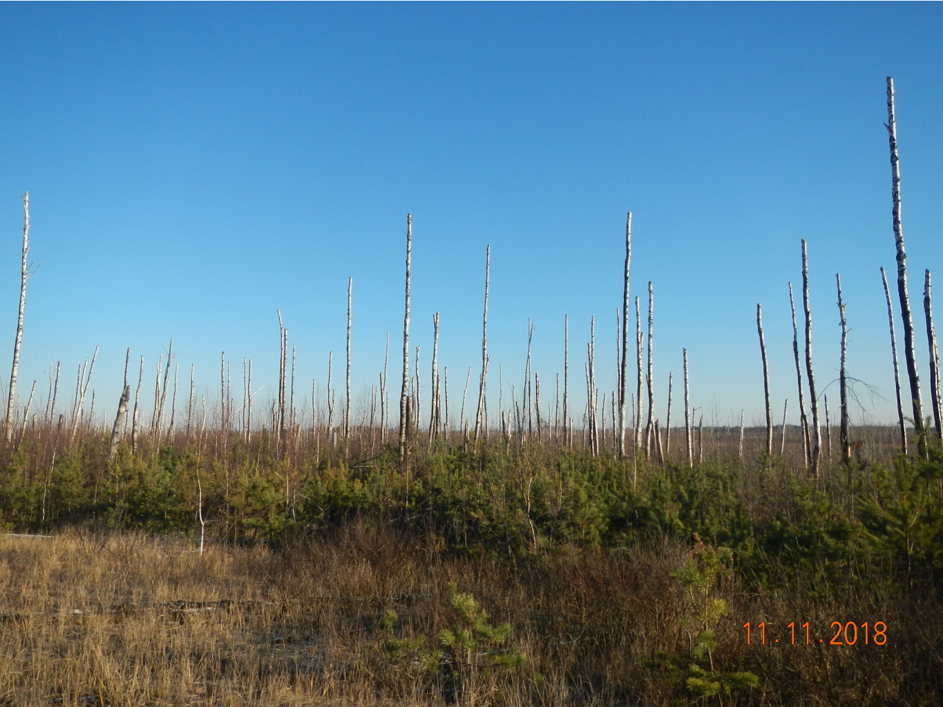 DSCN7325.JPG