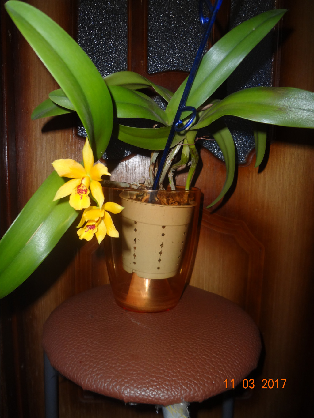 DSC04152.JPG