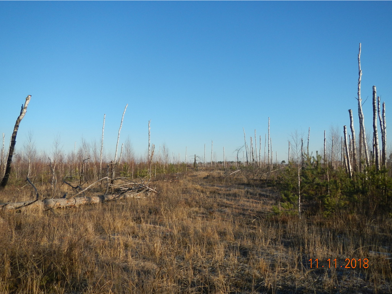 DSCN7330.JPG
