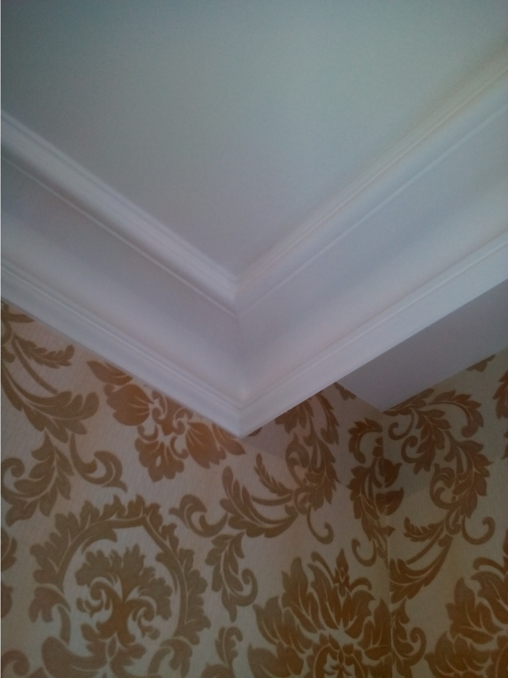 IMG 20161230 103752.jpg