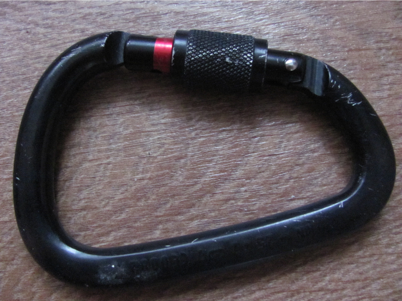 IMG 2510.JPG