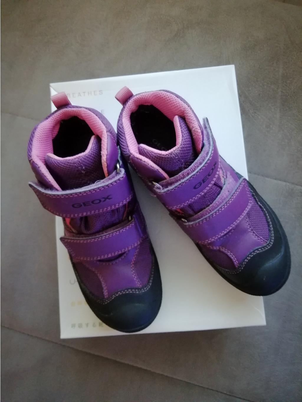 IMG 20181009 113240.jpg