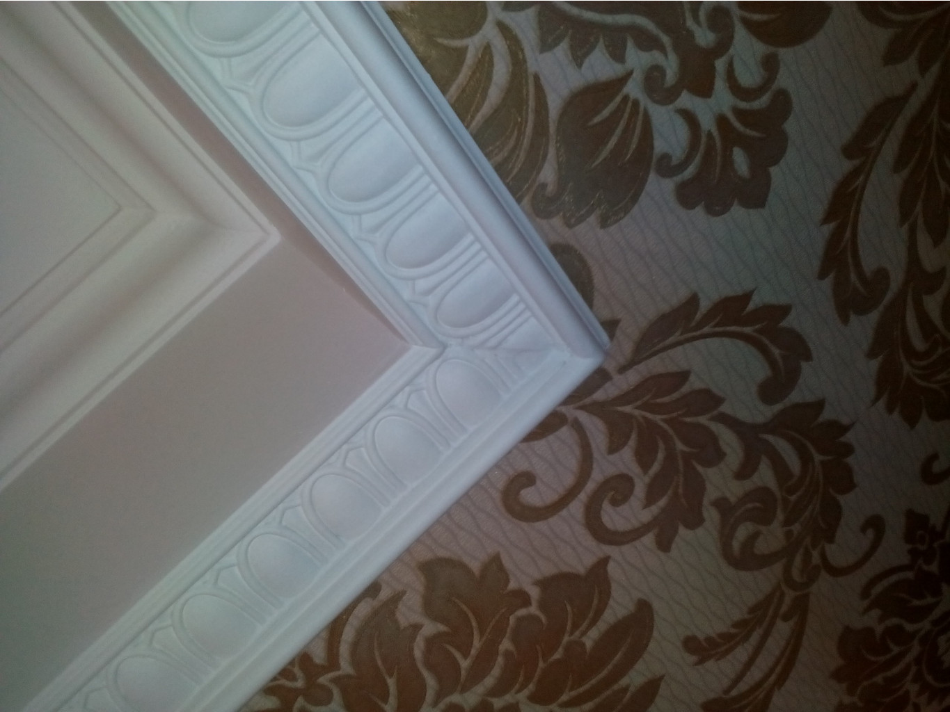 IMG 20161230 103707.jpg