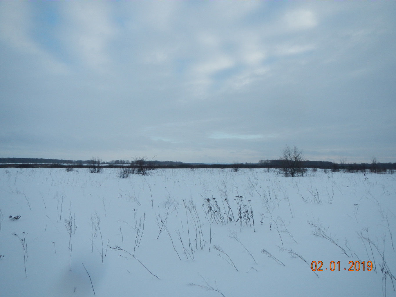 DSCN7799.JPG