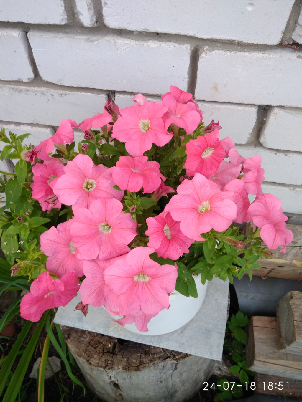 IMG 20180724 185147.jpg