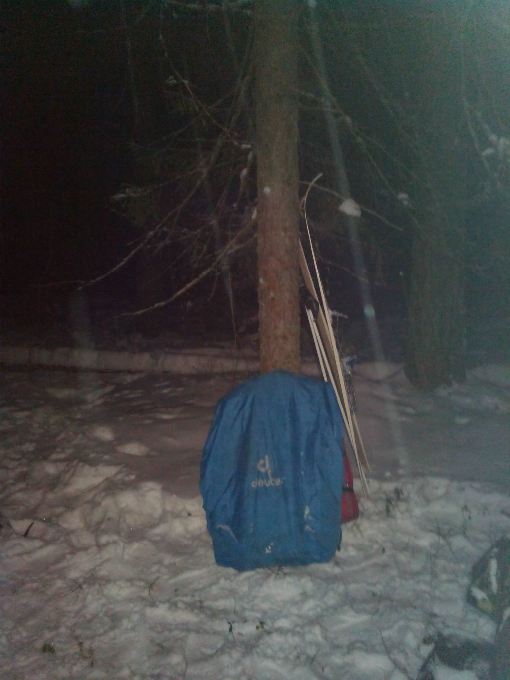 IMG 20190104 073235.jpg